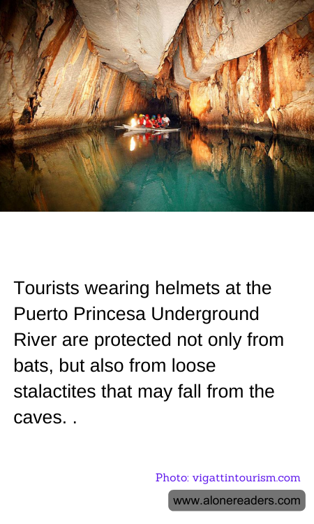 General Knowledge Learning Cards