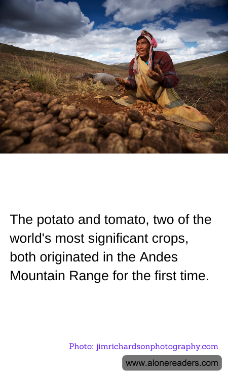 General Knowledge Learning Cards