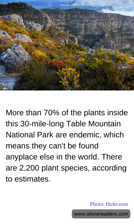 General Knowledge Learning Cards