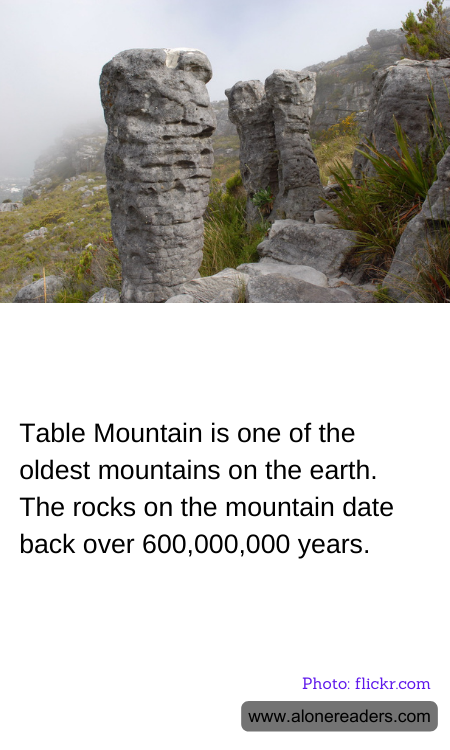 General Knowledge Learning Cards