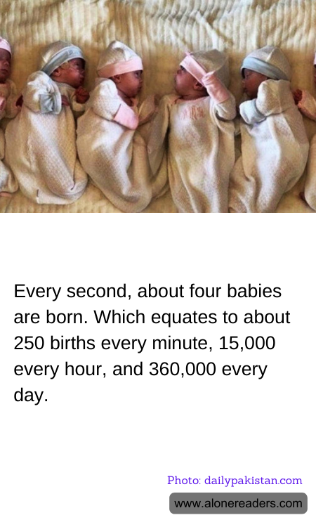 General Knowledge Learning Cards