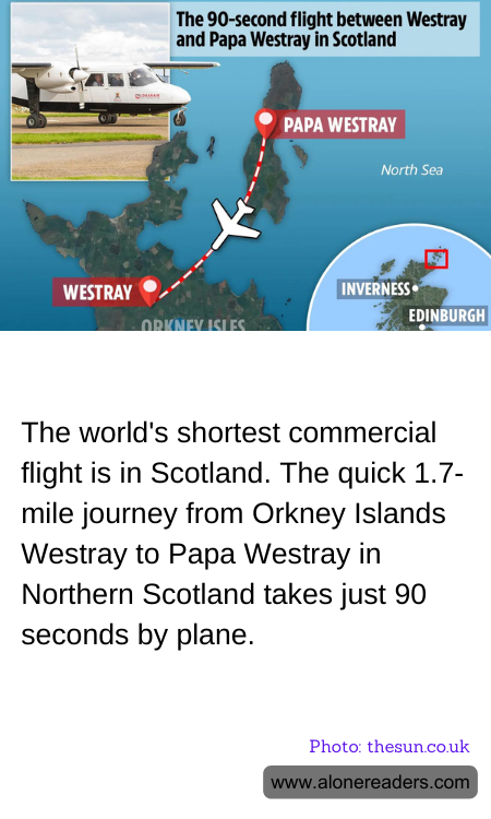 General Knowledge Learning Cards