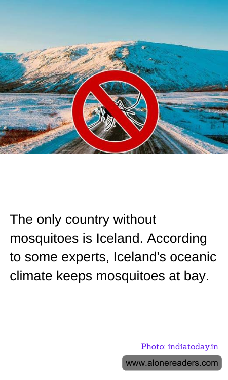 General Knowledge Learning Cards