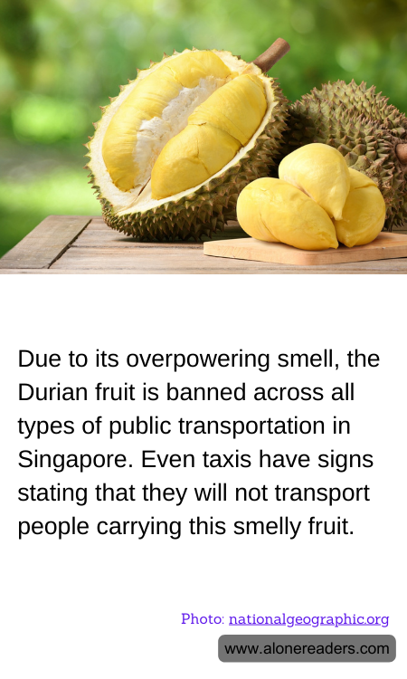 General Knowledge Learning Cards