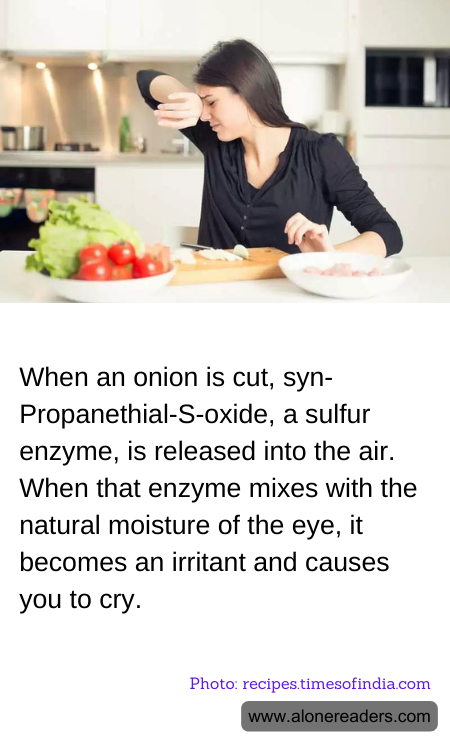 When an onion is cut, syn-Propanethial-S-oxide, a sulfur enzyme, is released into the air. When that enzyme mixes with the natural moisture of the eye, it becomes an irritant and causes you to cry.