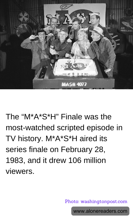 General Knowledge Learning Cards