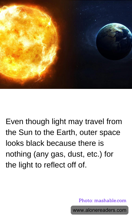 General Knowledge Learning Cards