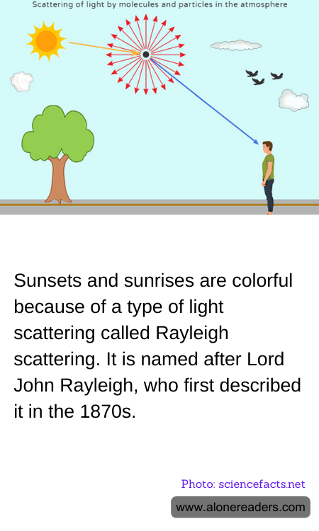 General Knowledge Learning Cards