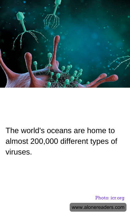 The world's oceans are home to almost 200,000 different types of viruses.