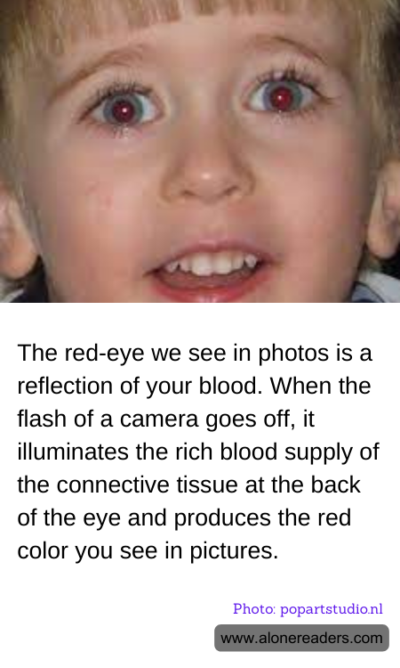 General Knowledge Learning Cards