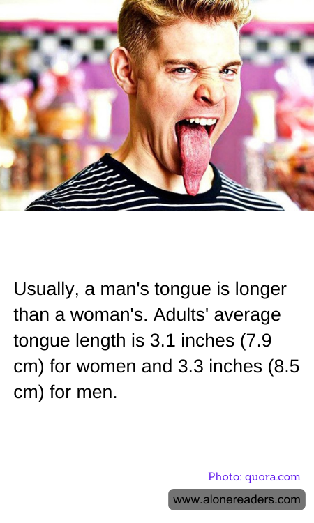 General Knowledge Learning Cards