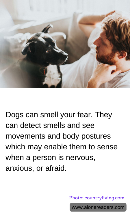 General Knowledge Learning Cards