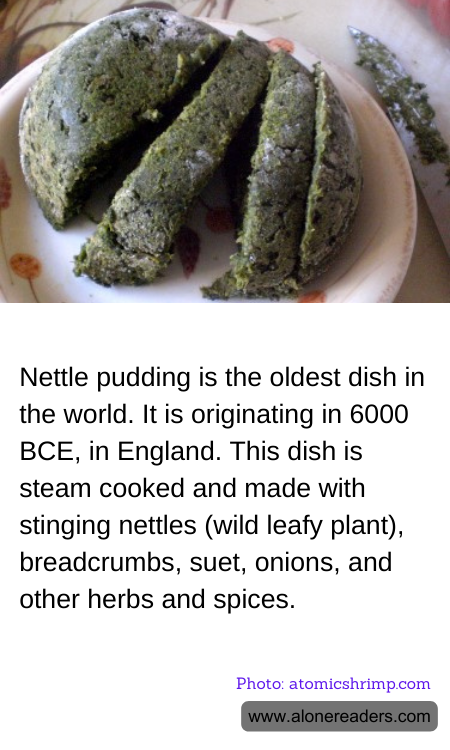 General Knowledge Learning Cards