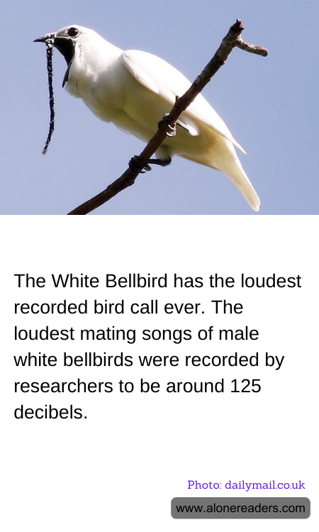 General Knowledge Learning Cards