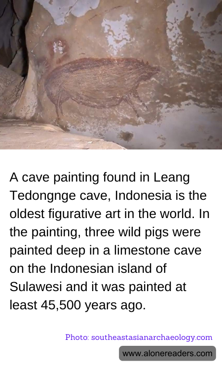 General Knowledge Learning Cards