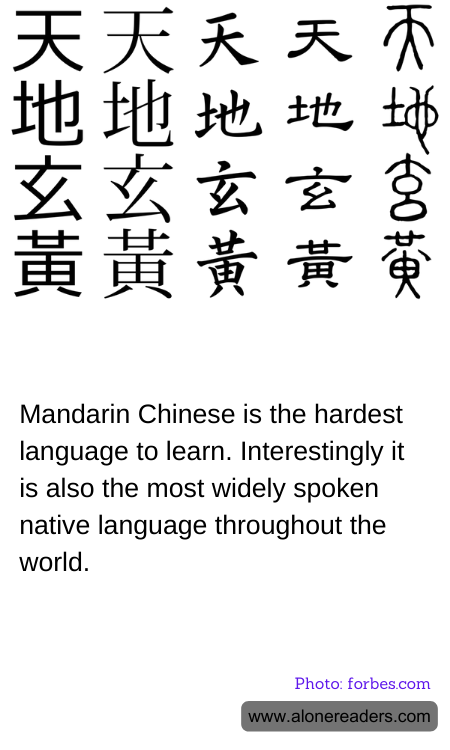 General Knowledge Learning Cards