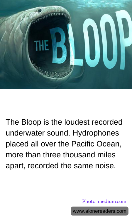 The Bloop is the loudest recorded underwater sound. Hydrophones placed all over the Pacific Ocean, more than three thousand miles apart, recorded the same noise.