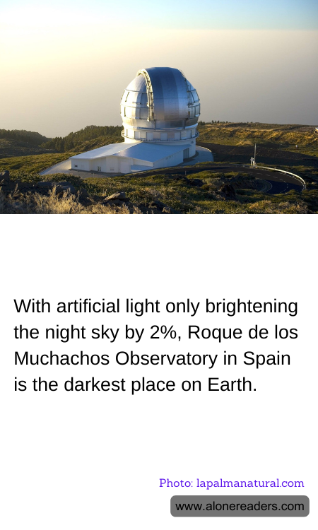 General Knowledge Learning Cards