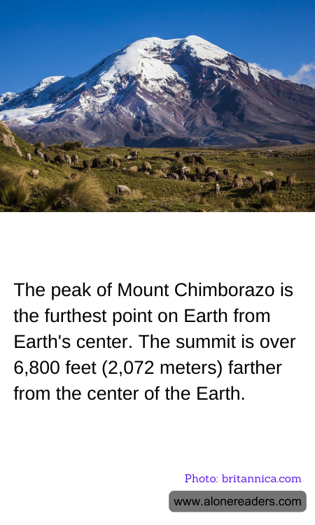 General Knowledge Learning Cards