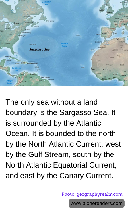 General Knowledge Learning Cards