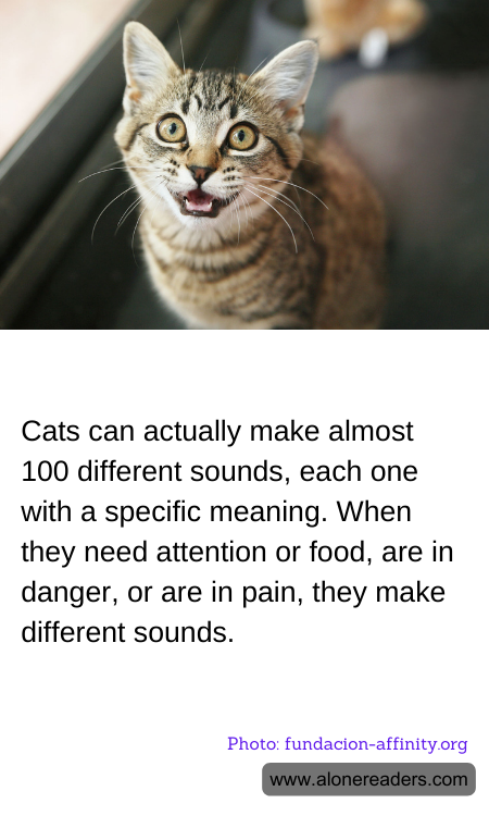 General Knowledge Learning Cards