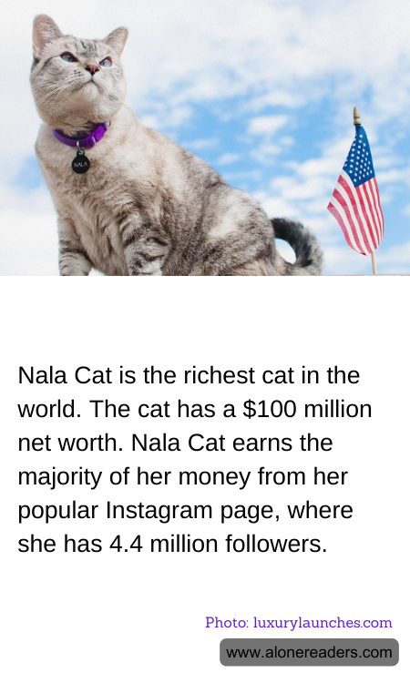 General Knowledge Learning Cards