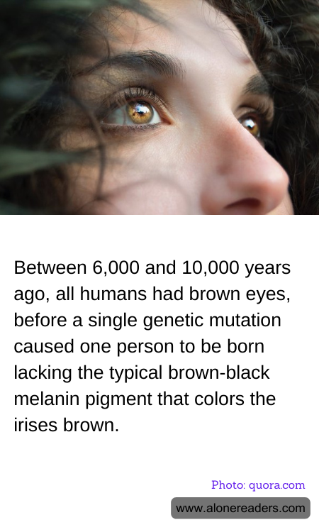 General Knowledge Learning Cards