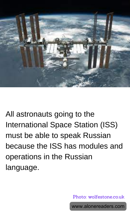 General Knowledge Learning Cards