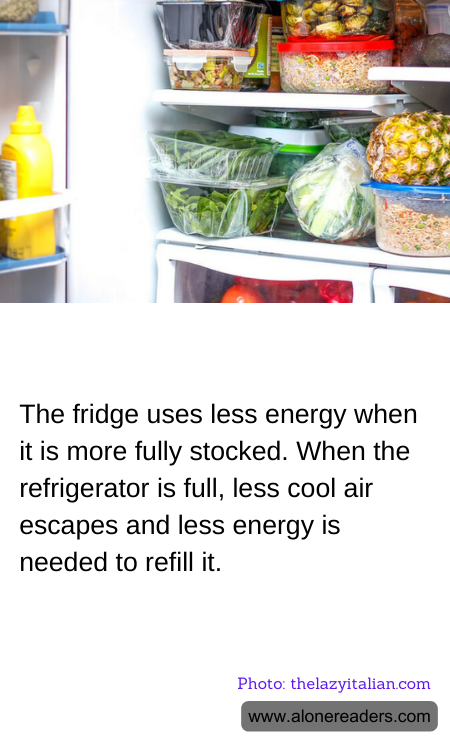 General Knowledge Learning Cards