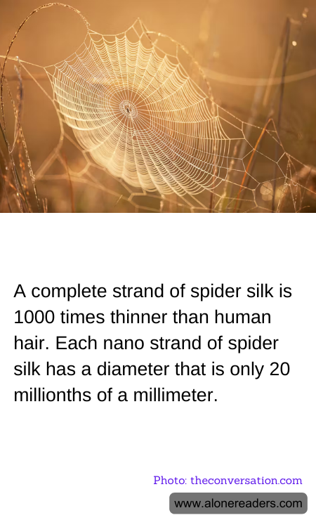 A complete strand of spider silk is 1000 times thinner than human hair. Each nano strand of spider silk has a diameter that is only 20 millionths of a millimeter.