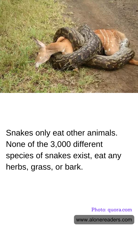 General Knowledge Learning Cards