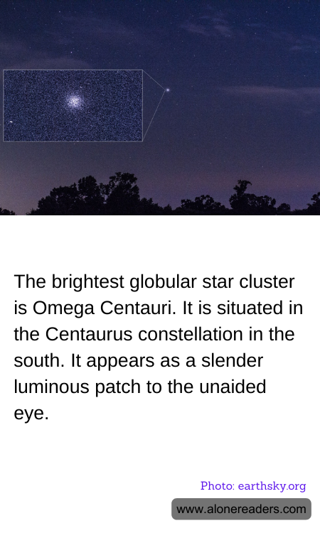 General Knowledge Learning Cards