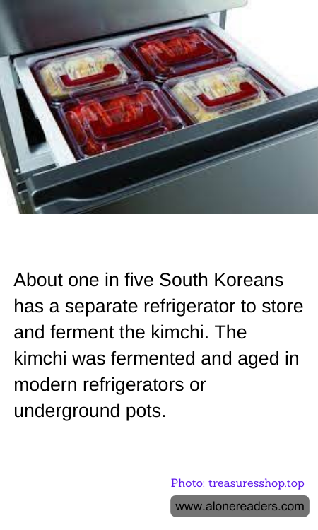 General Knowledge Learning Cards