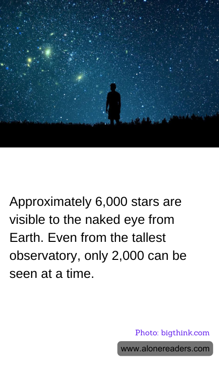 General Knowledge Learning Cards