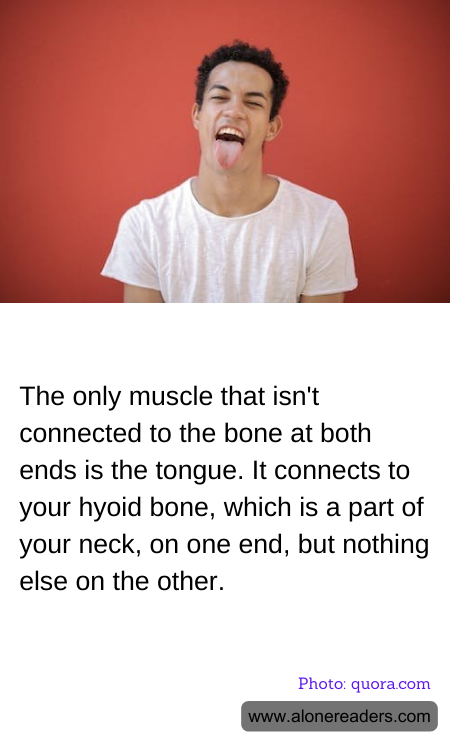 General Knowledge Learning Cards