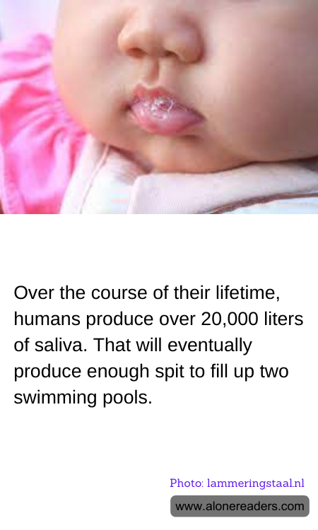 Over the course of their lifetime, humans produce over 20,000 liters of saliva. That will eventually produce enough spit to fill up two swimming pools.