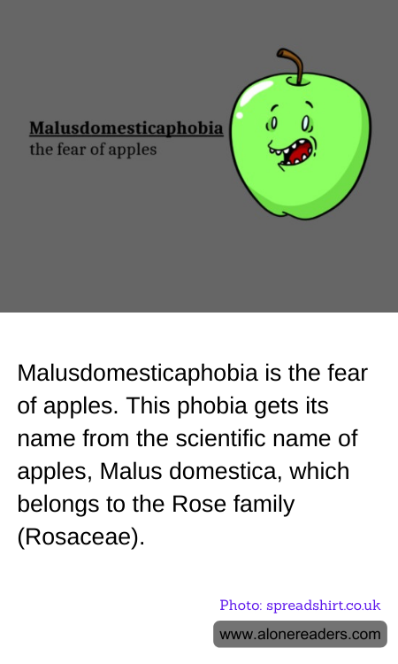 General Knowledge Learning Cards