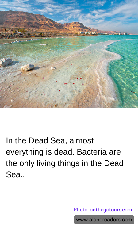 General Knowledge Learning Cards