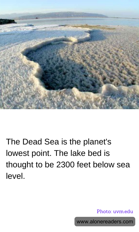 General Knowledge Learning Cards