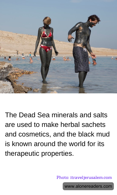 General Knowledge Learning Cards