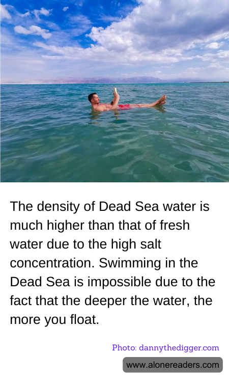 General Knowledge Learning Cards