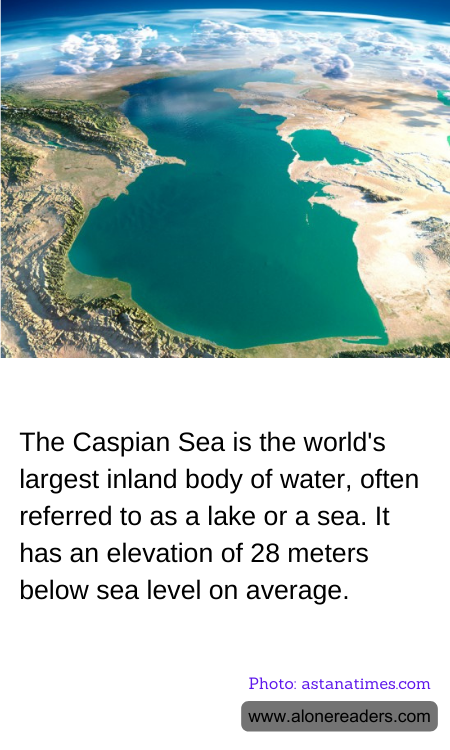 General Knowledge Learning Cards