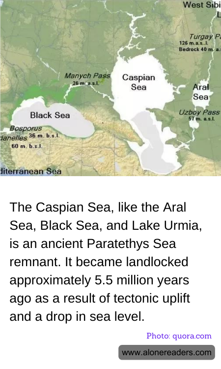 General Knowledge Learning Cards