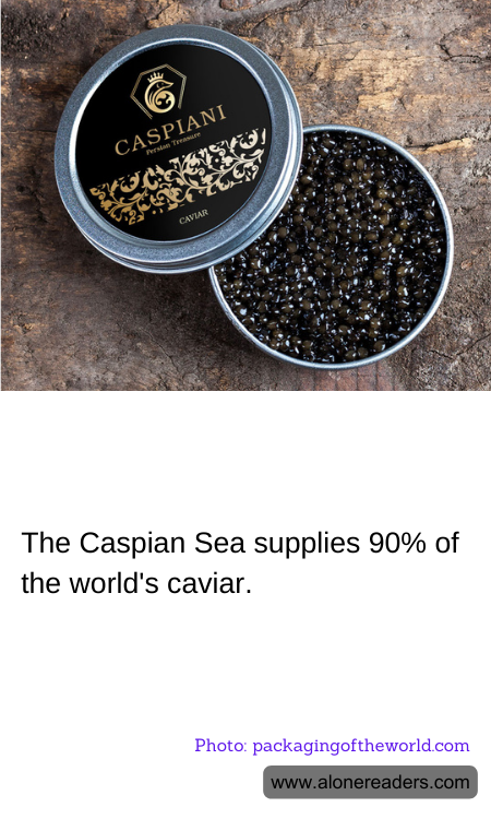 General Knowledge Learning Cards