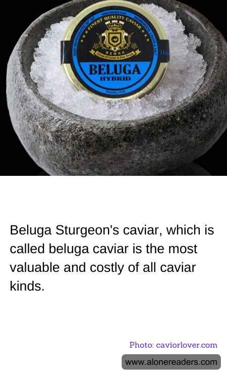 General Knowledge Learning Cards