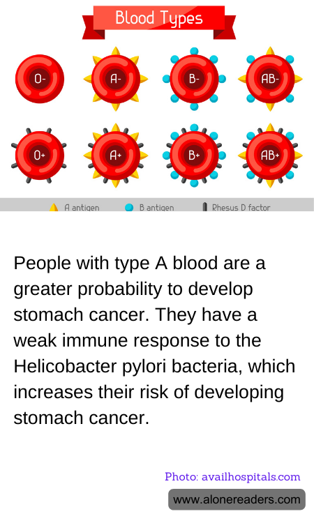 General Knowledge Learning Cards