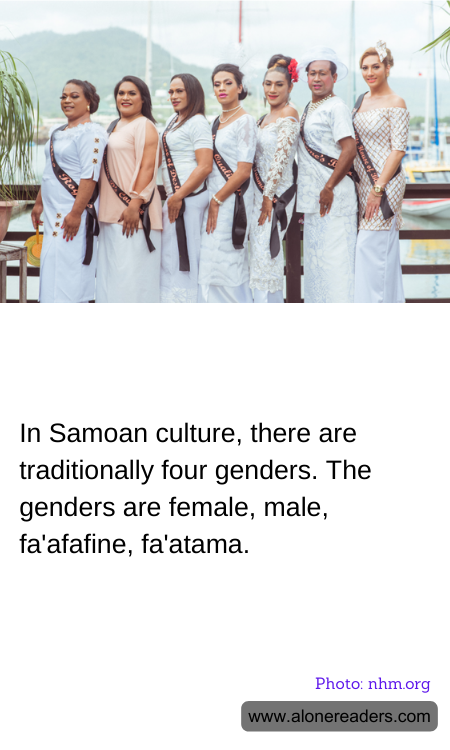 In Samoan culture, there are traditionally four genders. The genders are female, male, fa'afafine, fa'atama.