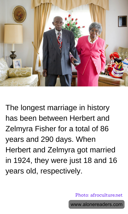 General Knowledge Learning Cards