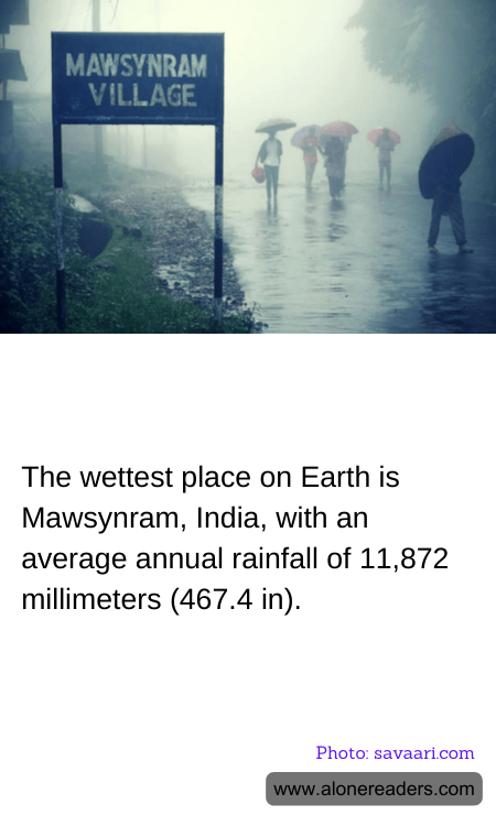 General Knowledge Learning Cards