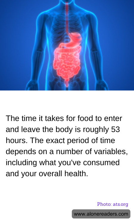 General Knowledge Learning Cards